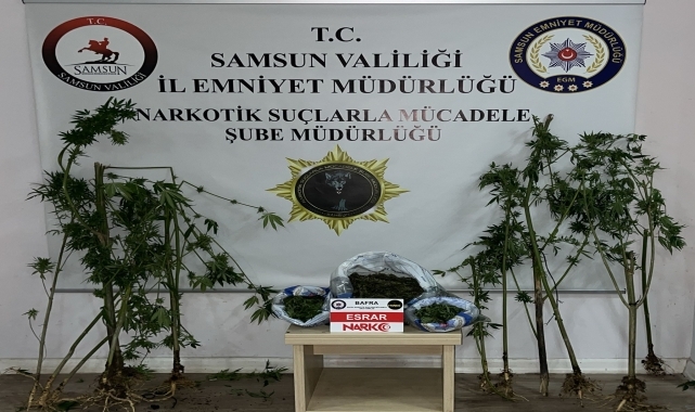 Samsun'da narkotik operasyonunda iki şüpheli yakalandı