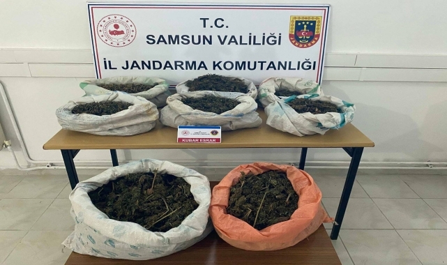 Samsun'da ormanlık alana gizlenmiş 8 kilo 525 gram esrar bulundu