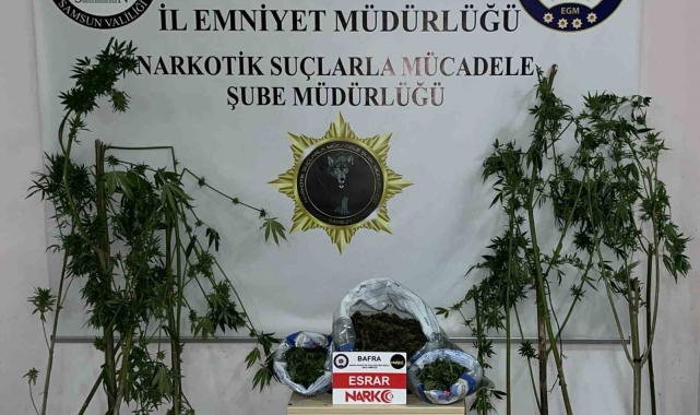 Samsun'da uyuşturucu operasyonu: 2 gözaltı