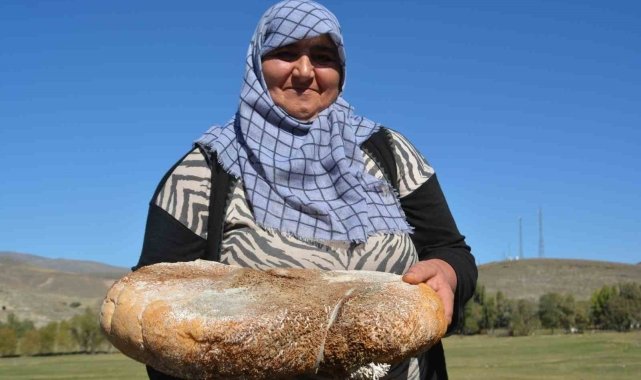 Sarıkamış'ta üretilen peynir işkembeye dolduruluyor
