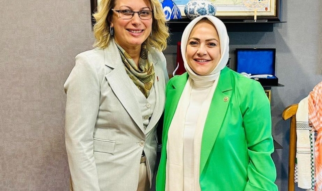 Sema Silkin Ün ile Genel Başkan Asu Kaya kadına şiddet konusunda bir araya geldi