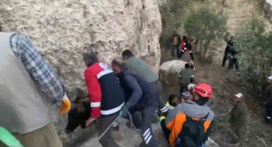Siirt'te çukurda mahsur kalan inekler kurtarıldı