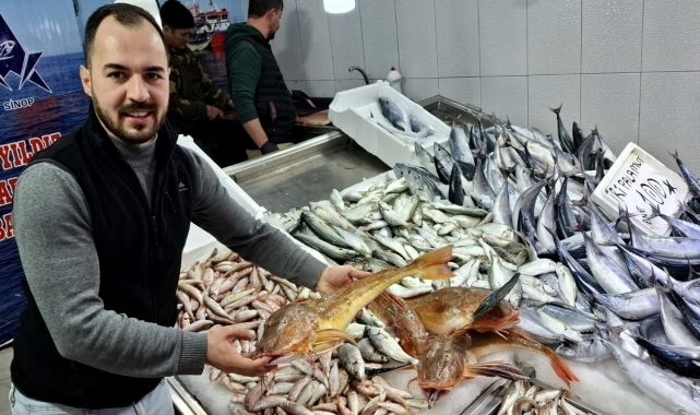 Sinop'ta avlanan kırlangıç balıkları kilogramı 300 liradan satılıyor