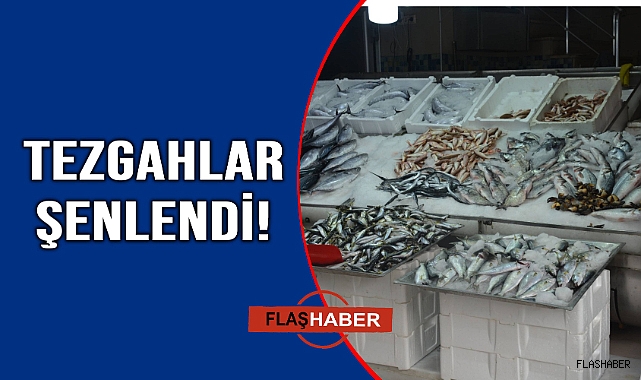 Sinop'ta balık tezgahları yeniden canlandı