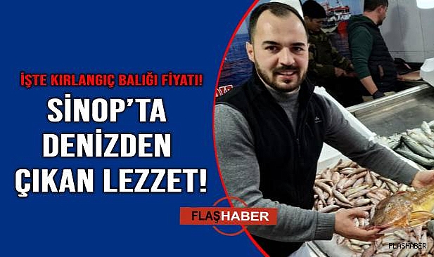Sinop'ta balıkçılar kırlangıç bolluğuyla seviniyor