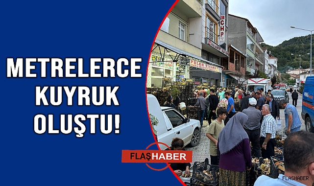 Sinop’ta mantar bereketi