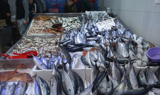 Sinop'ta balıkçı tezgahları şenlendi: 1,3 kiloluk palamutlar 100 lira