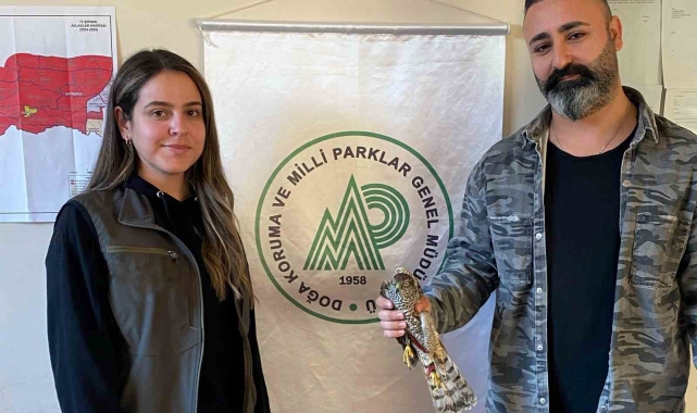 Şırnak'ta yaralı halde bulunan atmaca tedavi altına alındı