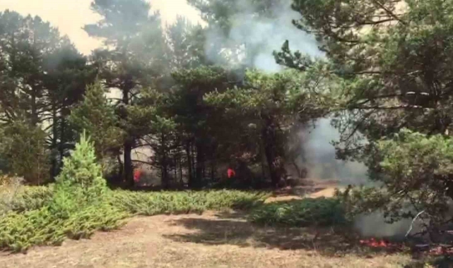 Sivas'ta örtü yangınına müdahale sürüyor