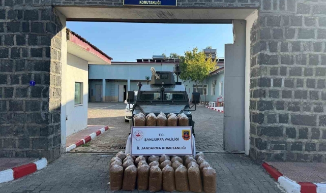 Siverek'te 240 kilo kaçak tütün yakalandı