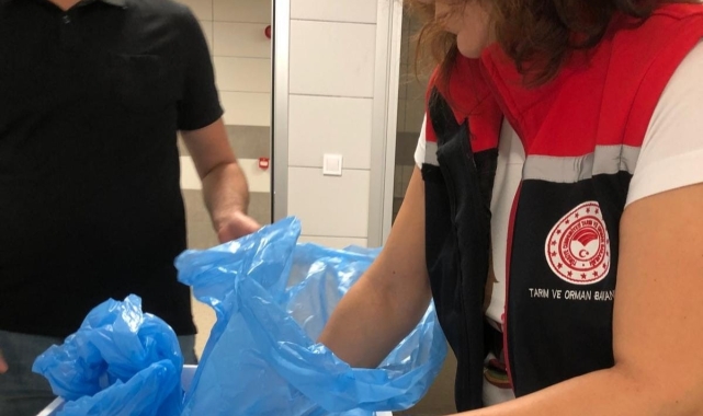 Söke 1 ayda 15 ülkeye ihracat yapıldı