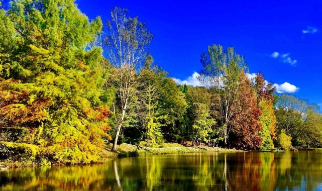 Sonbaharın büyüleyici renkleri Erzincan'ı sardı