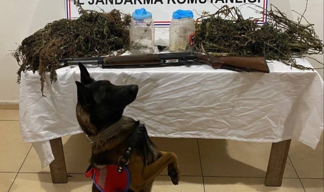 Tatvan'da 3 kilo 960 gram kubar esrar ele geçirildi