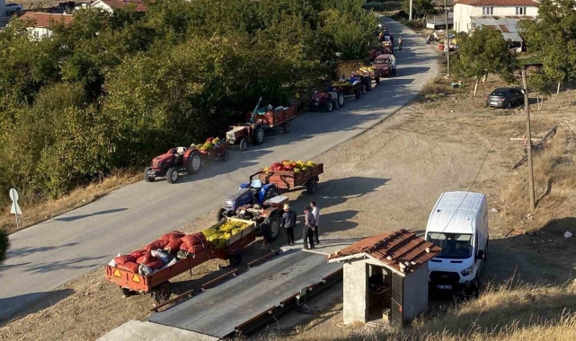 Taze ceviz toptan 25 liraya satılıyor