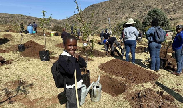 TİKA'dan kuruluşunun 200. yılında Lesotho Krallığı'na 2000 fidan