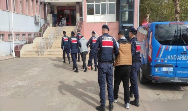 Tokat'ta küçükbaş hayvan çaldığı öne sürülen 2 zanlı tutuklandı