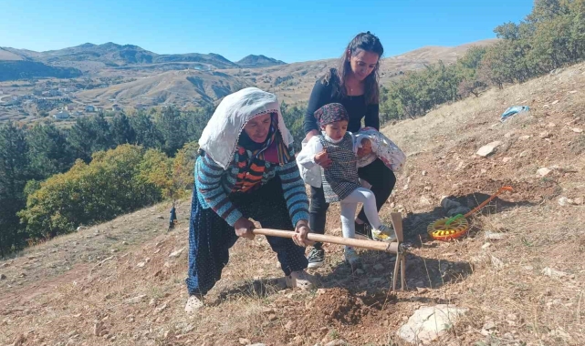 Tunceli'de bin meşe palamudu toprakla buluşturuldu