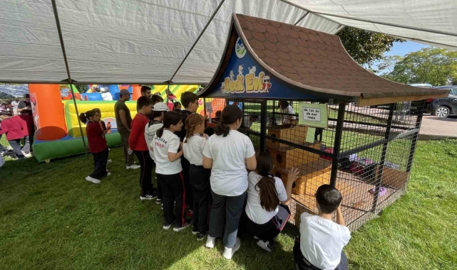 Türkiye'ye örnek etkinlik: 1 ayda 39 sokak hayvanı sahiplenildi