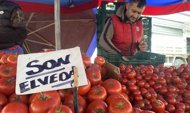 Ucuz ve lezzetli bahçe domateslerine esnaf 'Son elveda' dedi