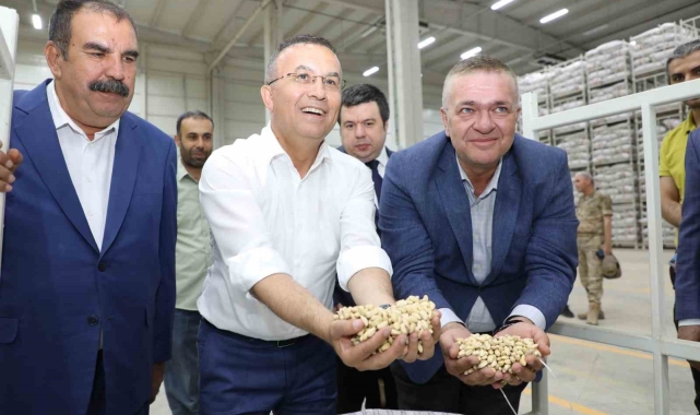 Vali Çeber, Antep fıstığı lisanslı depoda incelemelerde bulundu