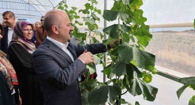 Vali Varol, kooperatif kuran kadınların serasını inceledi