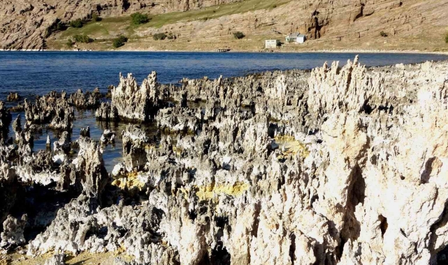 Van Gölü her geçen yıl biraz daha çekiliyor