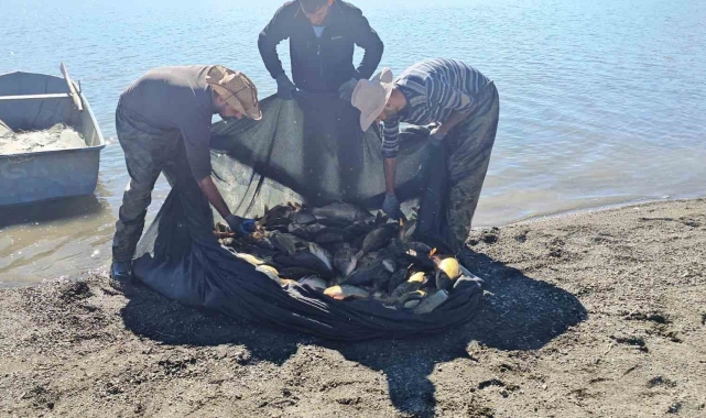 Van'da ağla kaçak balık avlayan kişiye 8 bin 918 liralık ceza