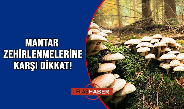 Vatandaşlara kritik uyarı