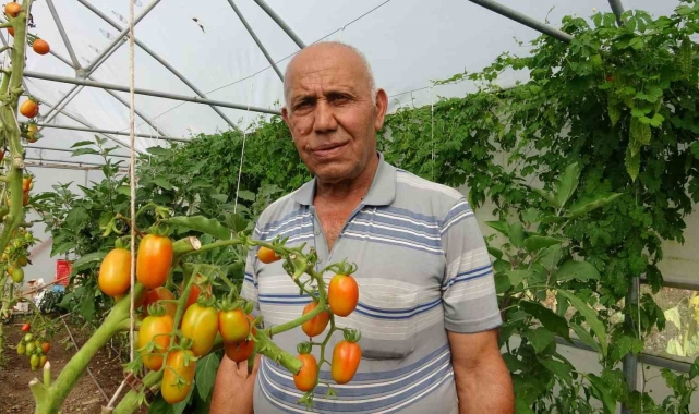 Yavuzkemal Beldesinden örnek tarım projesi