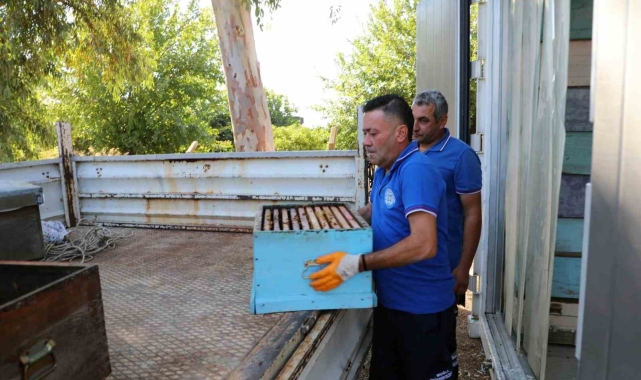 Yerel yönetimler arasında bir ilk: Temiz Petek Projesi