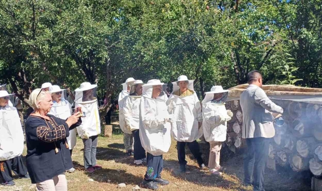 Yerli turistler Van'da bal hasadı yaptı