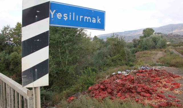 Yeşilırmak Nehri'nin kıyısına çuvallar dolusu soğan ve patlıcan döküldü