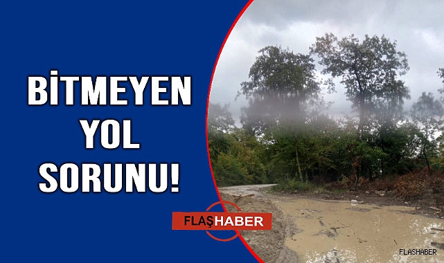 Yol sorunu isyan ettirdi