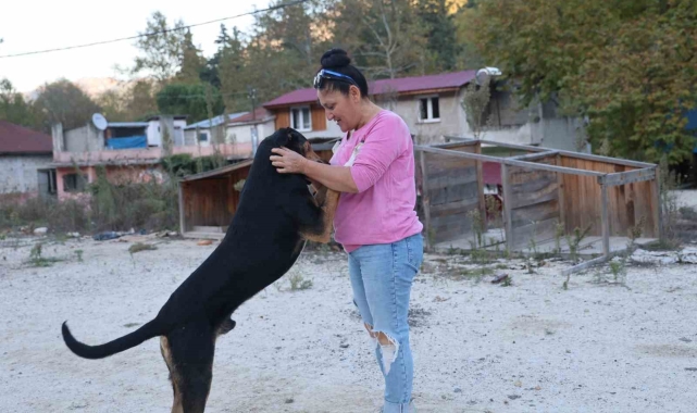 Yolda giderken kafası salça bidonuna sıkışan köpeği görüp kurtardı