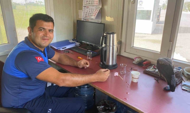 Zabıtalara misafir olan karganın kahvaltı keyfi