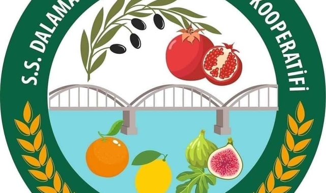 Zeytinyağı sahte çıktığı açıklanan Dal-Koop'tan açıklama