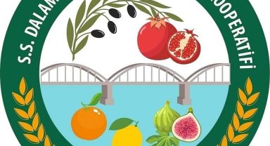 Zeytinyağı sahte çıktığı açıklanan Dal-Koop'tan açıklama