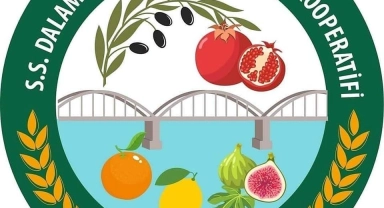 Zeytinyağı sahte çıktığı açıklanan Dal-Koop'tan açıklama