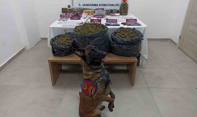 Zonguldak'ta jandarma ve polisin denetimleri sürüyor