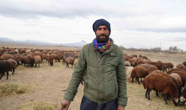 8 aydır memleketten ayrı olan sürüler Iğdır'a geri döndü