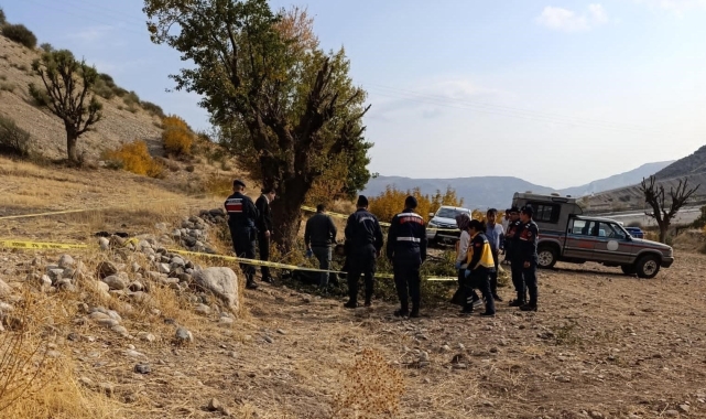 Ağaç budarken düşen yaşlı adam hayatını kaybetti