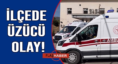 Ağaç taşırken fenalaşan adam hastaneye kaldırıldı