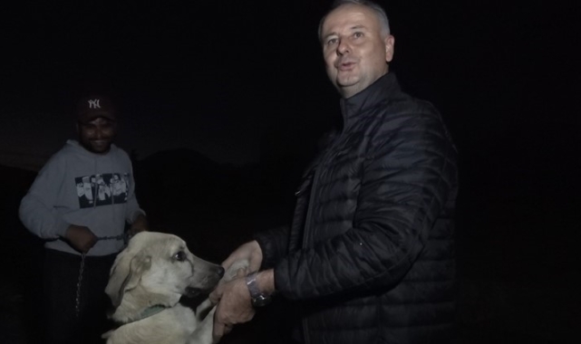 Alanya'da Avokadoya dikenli tel ve çoban köpekli koruma