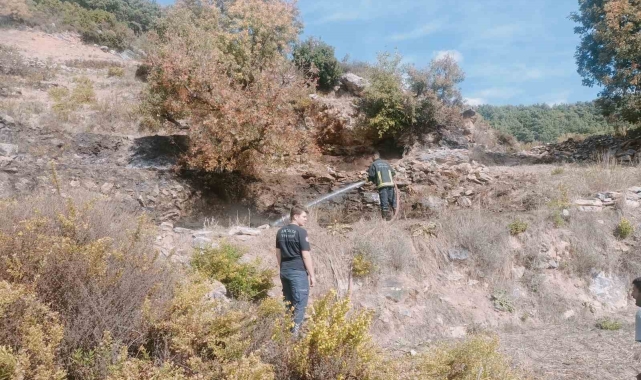 Alanya'da merada çıkan yangın kontrol altına alındı