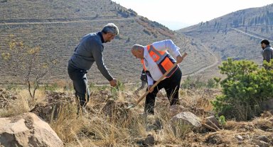 Ali Dağın zirvesine bin 111 fidan