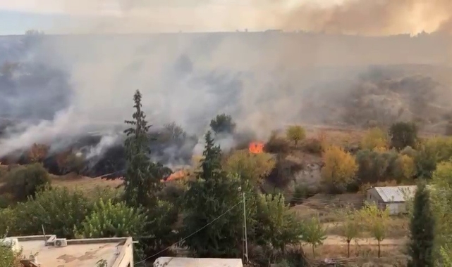 Anız yangını bahçelere sıçradı