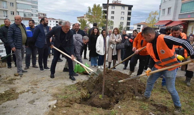 Atakum'da fidan dikim etkinliği