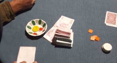 Aydın jandarmasından huzur ve güven uygulaması: 3 bin 957 şahıs sorgulandı