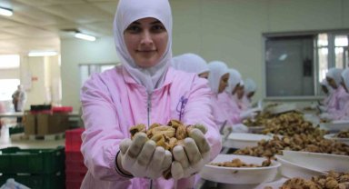 Aydın'ın kuru inciri 100'den fazla ülkede ağızları tatlandırıyor