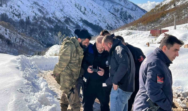 Ayı saldırdığı için ahırdan kaçan sürü 20 gündür Rize'nin karlı dağlarında aranıyor
